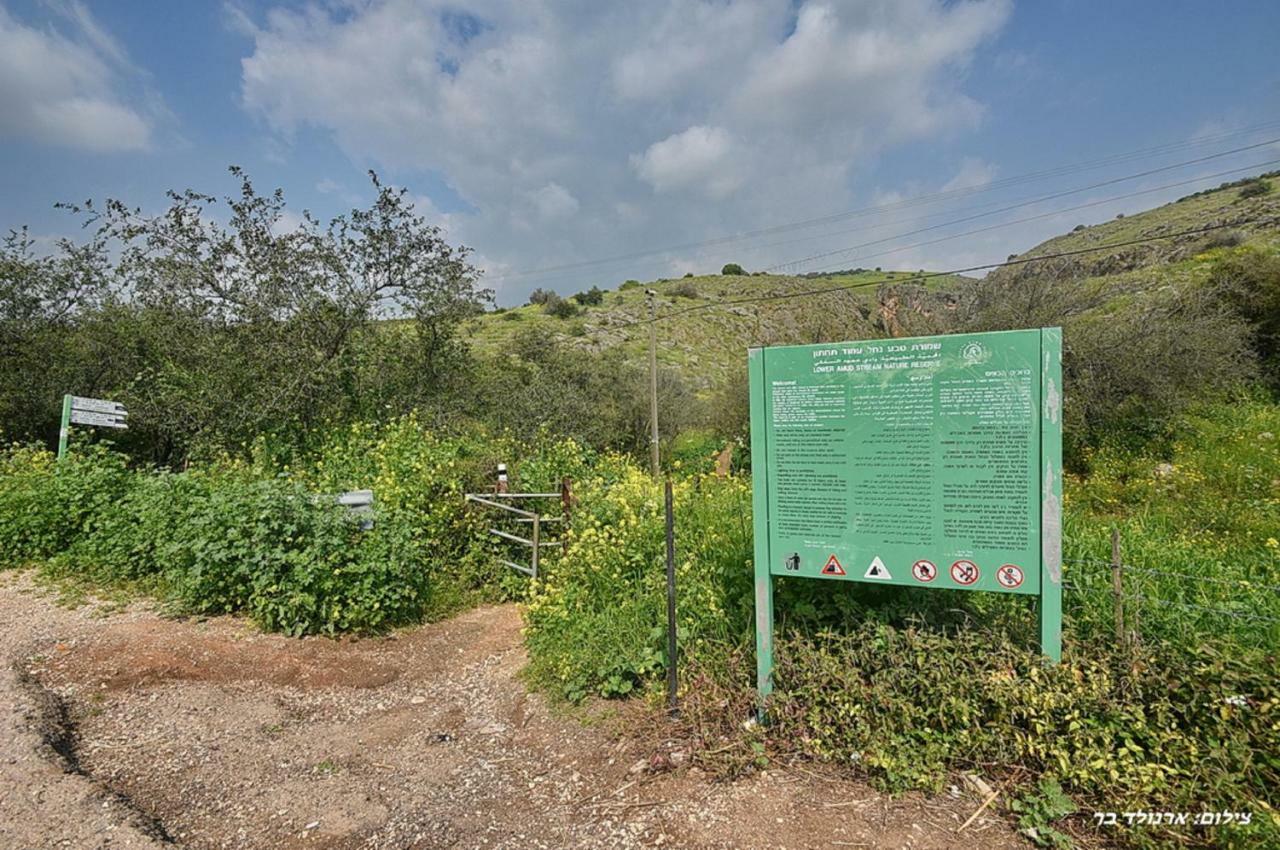 Mul Kinneret Livnim Exterior photo